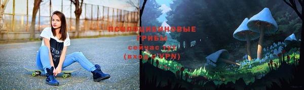 стаф Абинск