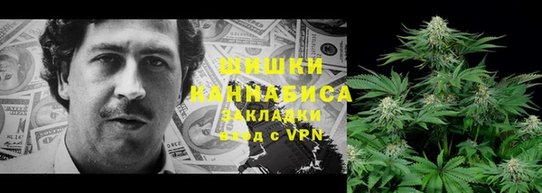 стаф Абинск