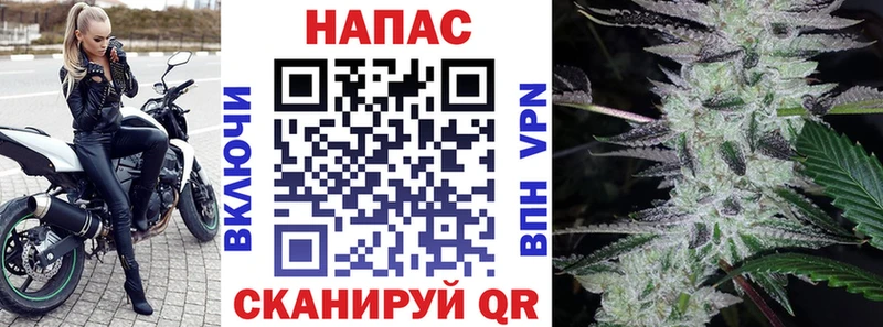 Бошки Шишки сатива  где купить наркоту  Алейск 